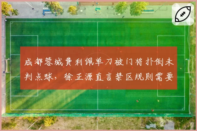 成都蓉城费利佩单刀被门将扑倒未判点球，徐正源直言禁区规则需要统一