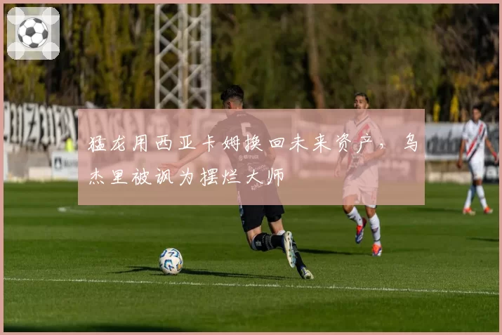 猛龙用西亚卡姆换回未来资产,乌杰里被讽为摆烂大师