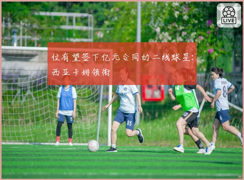 位有望签下亿元合同的二线球星：西亚卡姆领衔