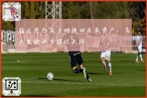 猛龙用西亚卡姆换回未来资产,乌杰里被讽为摆烂大师